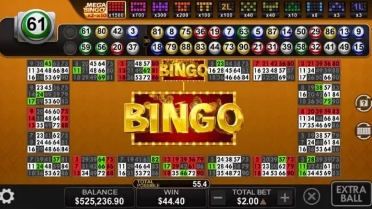 Bingo Bingo！