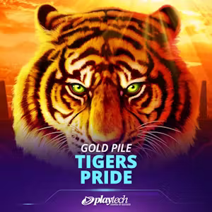 Gold pile tigers pride