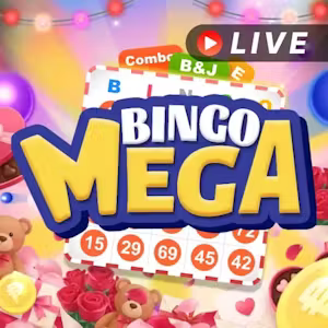 Bingo Mega
