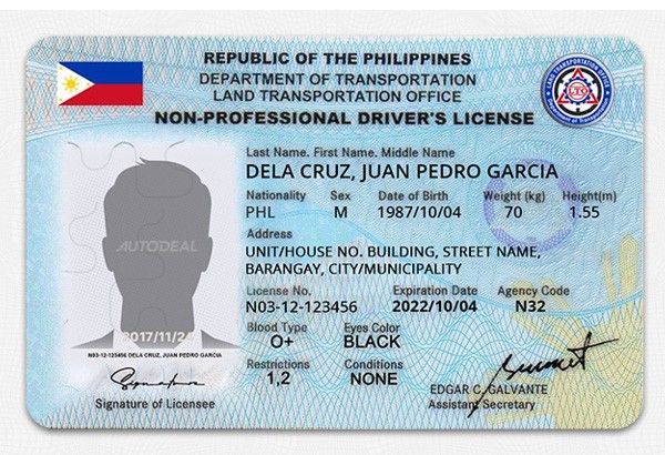 Driver's License