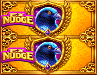 Nudge Wild Split 2