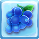 Grape