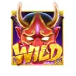 Wild symbol
