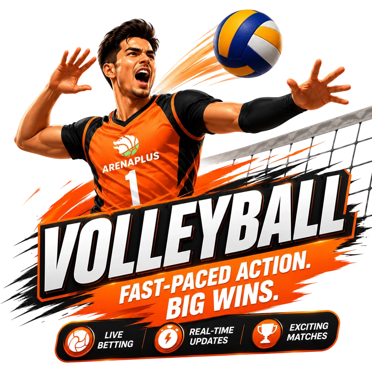 Volleyball
