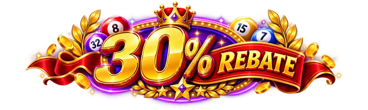 30% Rebate